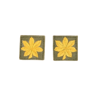 Early cloth Major Rank. Gold on Green. M43