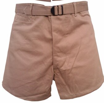 US Army or Navy PT Swim Shorts