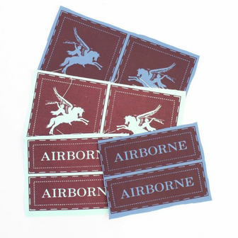 British 1st &amp; 6th Light Blue Printed Airborne Division Badge set