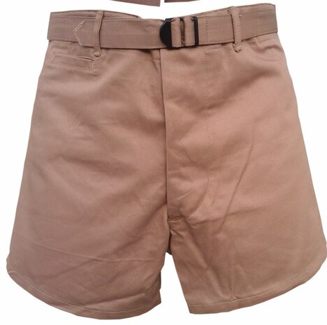 US Army or Navy PT Swim Shorts